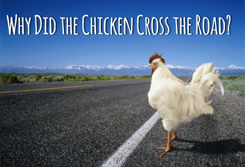 Chicken road spel in Netherlands